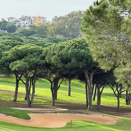 Secret View Puerto Cabopino 公寓 马尔韦利亚